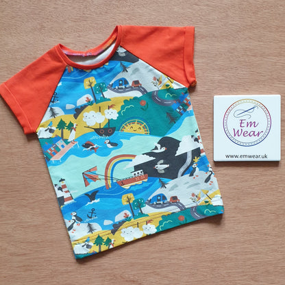 Baby and Child Raglan Sleeve T-shirt