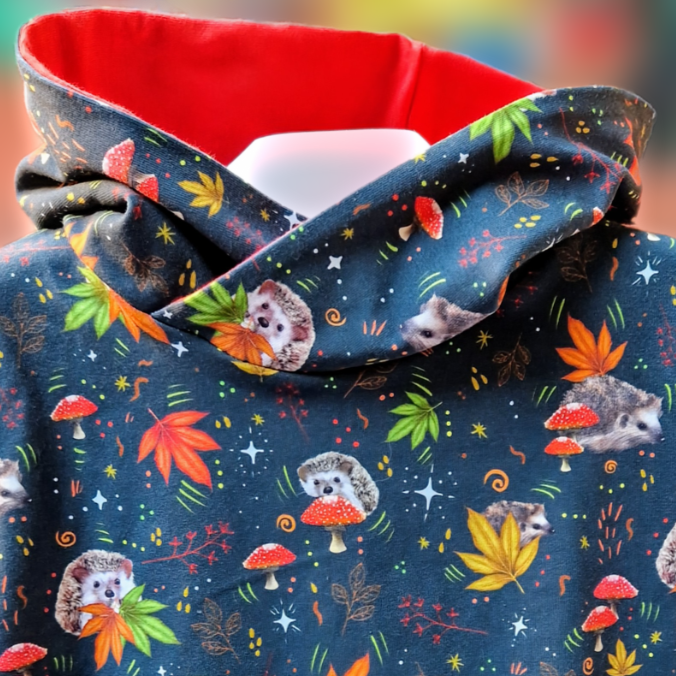Hoody Hedgehogs Twirly Dress