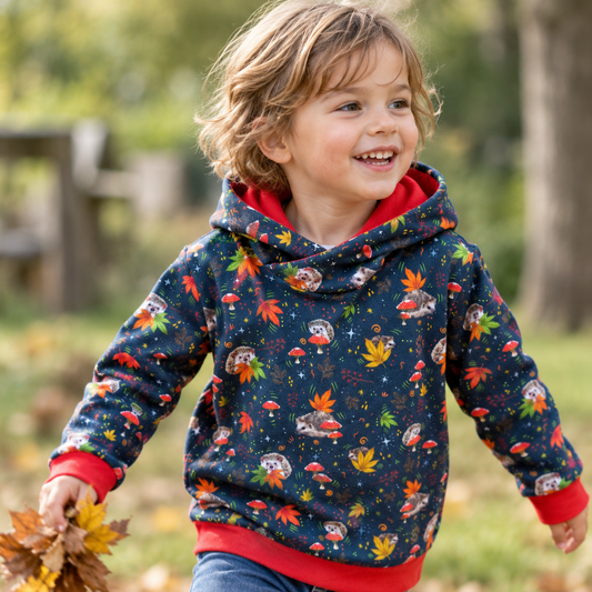 Hedgehogs Hoody