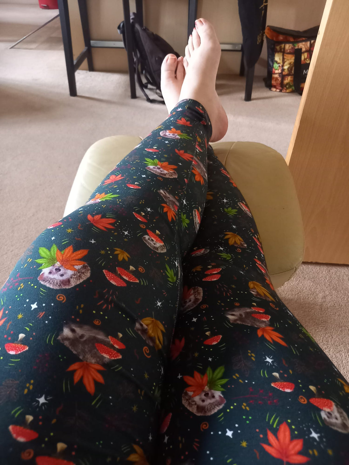 Adult Christmas Robin Leggings