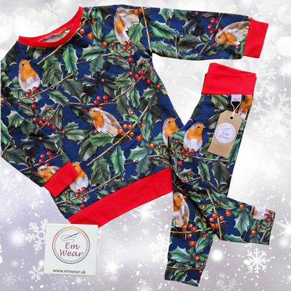 Winter Robins Hoody Set